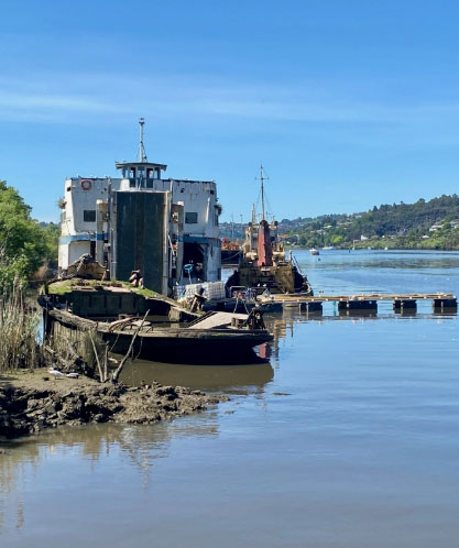 Oil spill in a Tasmanian river