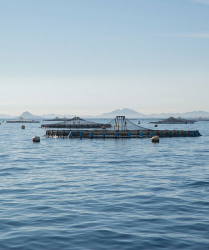 Aquaculture pens