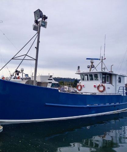 Traditional rock lobster fishing vessel